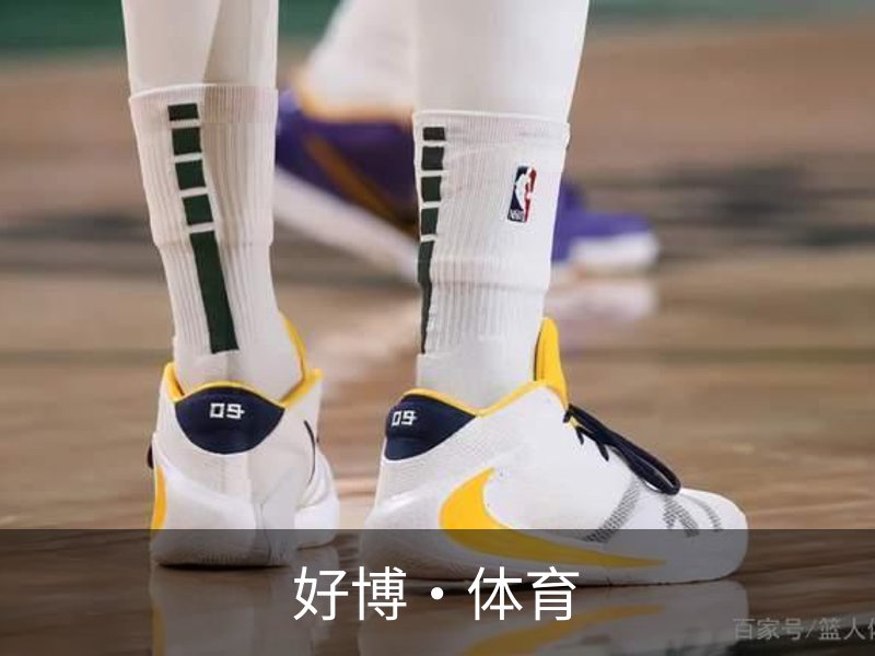 走进好博·体育